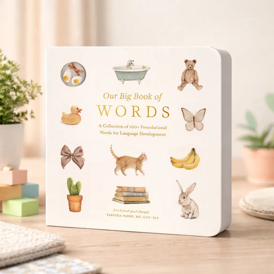 Our Big Book of First Words