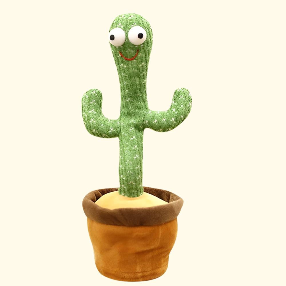 Dancing Cactus (50% OFF)