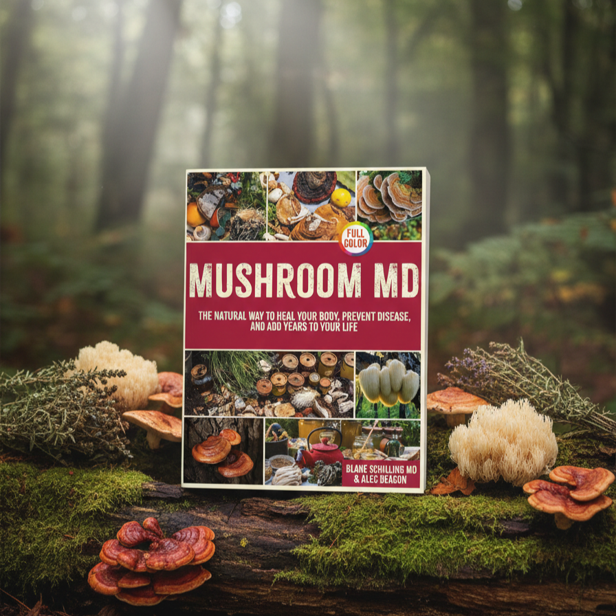 Mushroom MD