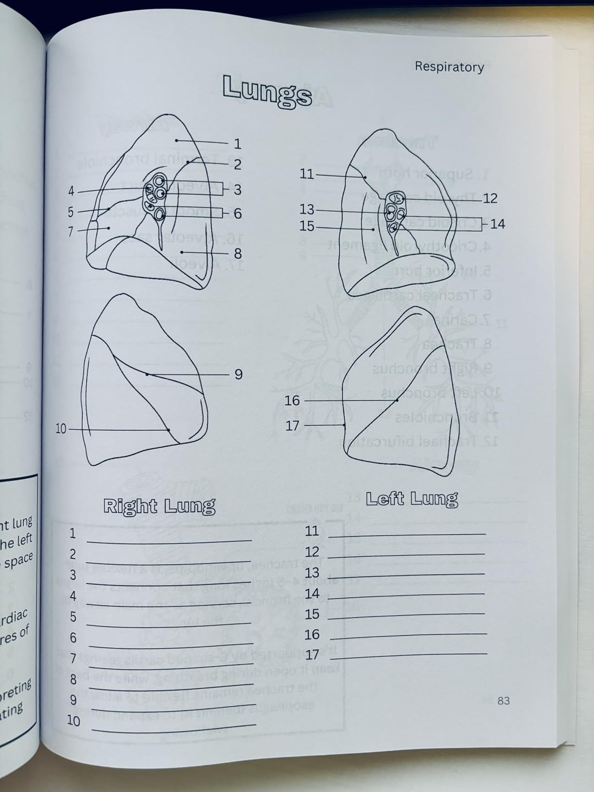 The Complete Human Anatomy Coloring Book